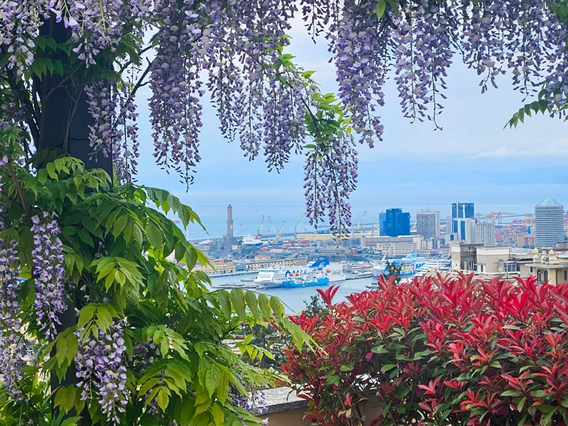 Casa di riposo Genova